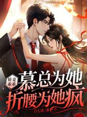 陸少的隱婚罪妻