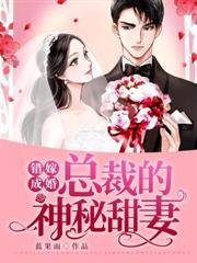 總裁的神秘甜妻