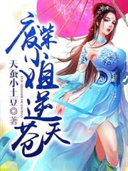廢柴小姐逆蒼天