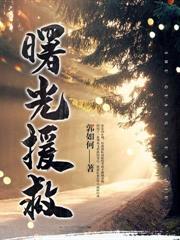 滬上螢火衛疆明