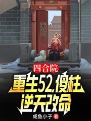 四合院：送胎婁小娥，三年抱兩