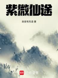 紫微仙途
