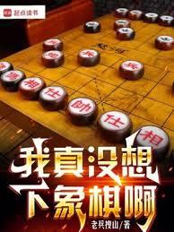 我真沒想下象棋啊