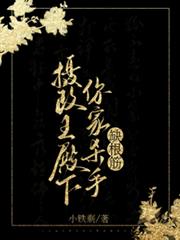 攝政王殿下，你家殺手缺根筋！