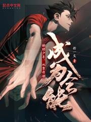排球少年：冠軍征途