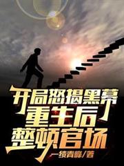 開局怒揭黑幕，重生後整頓官場