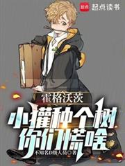 霍格沃茨：苟在獾院種田成神