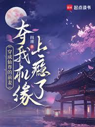 穿成仙尊的前妻，我奪機緣上癮了