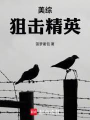 美綜：狙擊精英