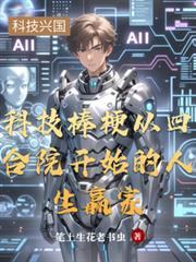 科技棒梗從四合院開始的人生贏家