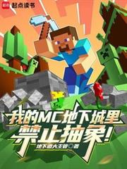 我的MC地下城裡禁止抽象！