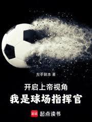 足球：上帝視角，我是球場指揮官