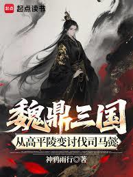 魏鼎三國，從高平陵變討伐司馬懿