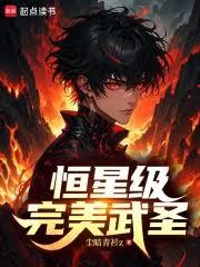 恆星級完美武聖