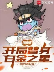 海賊：開局替身白金之星