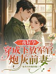 一夜好孕：穿成下放軍官炮灰前妻