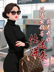 仕途逆襲：從陪女領導出差開始