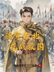 魂穿東北，抗戰救國