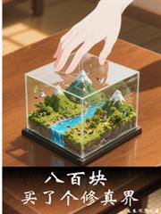 八百塊，買了個修真界