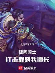 綜網騎士：打擊罪惡我擅長