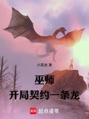 巫師：開局契約一條龍
