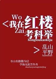 我在紅樓考科舉