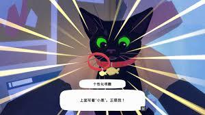 我的貓貓來自二次元