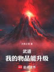 武道，我的物品能升級