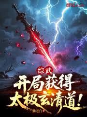 綜武：開局獲得太極玄清道