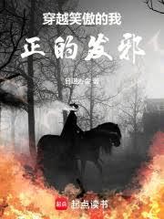穿越笑傲的我，正的發邪