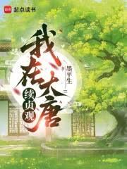 我在大唐續貞觀