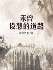 未曾設想的道路