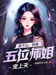 小司機的美女總裁老婆