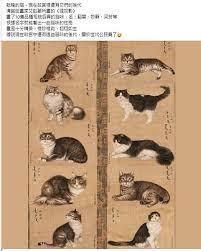 大清孤臣