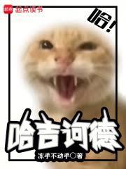 哈吉訶德