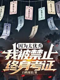 因為太優秀，我被禁止終身考證