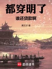 都穿明了，誰還貸款啊