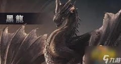 黑龍