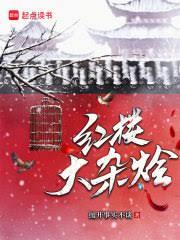 紅樓大雜燴