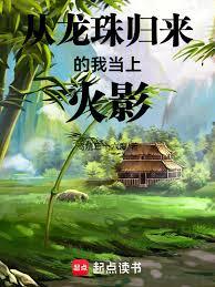 從龍珠歸來的我當上火影