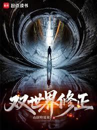 雙世界修正
