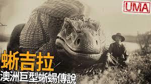 從蜥蜴進化為傳說巨龍