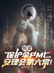 組建保護傘PMC，安理會第六常