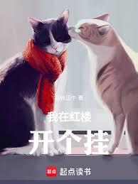 我在紅樓開個掛
