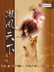 凝風天下
