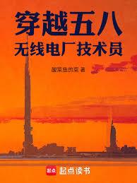 穿越五八，無線電廠技術員