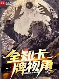 全知外掛視角