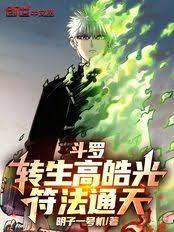 斗羅：轉生高皓光，符法通天