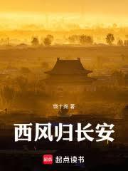 西風歸長安