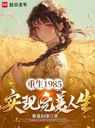 重生1985，實現完美人生